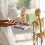 Médico de jaleco branco segurando um modelo anatômico da coluna vertebral, explicando sua estrutura; na frente há parte de um esqueleto humano em miniatura sobre a mesa.