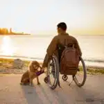 Pessoa em cadeira de rodas sentada à beira-mar durante o pôr do sol, acompanhada de um cão ao seu lado; a cena transmite tranquilidade e pode representar o contexto de direitos sociais e segurança financeira relacionados à aposentadoria por deficiência.